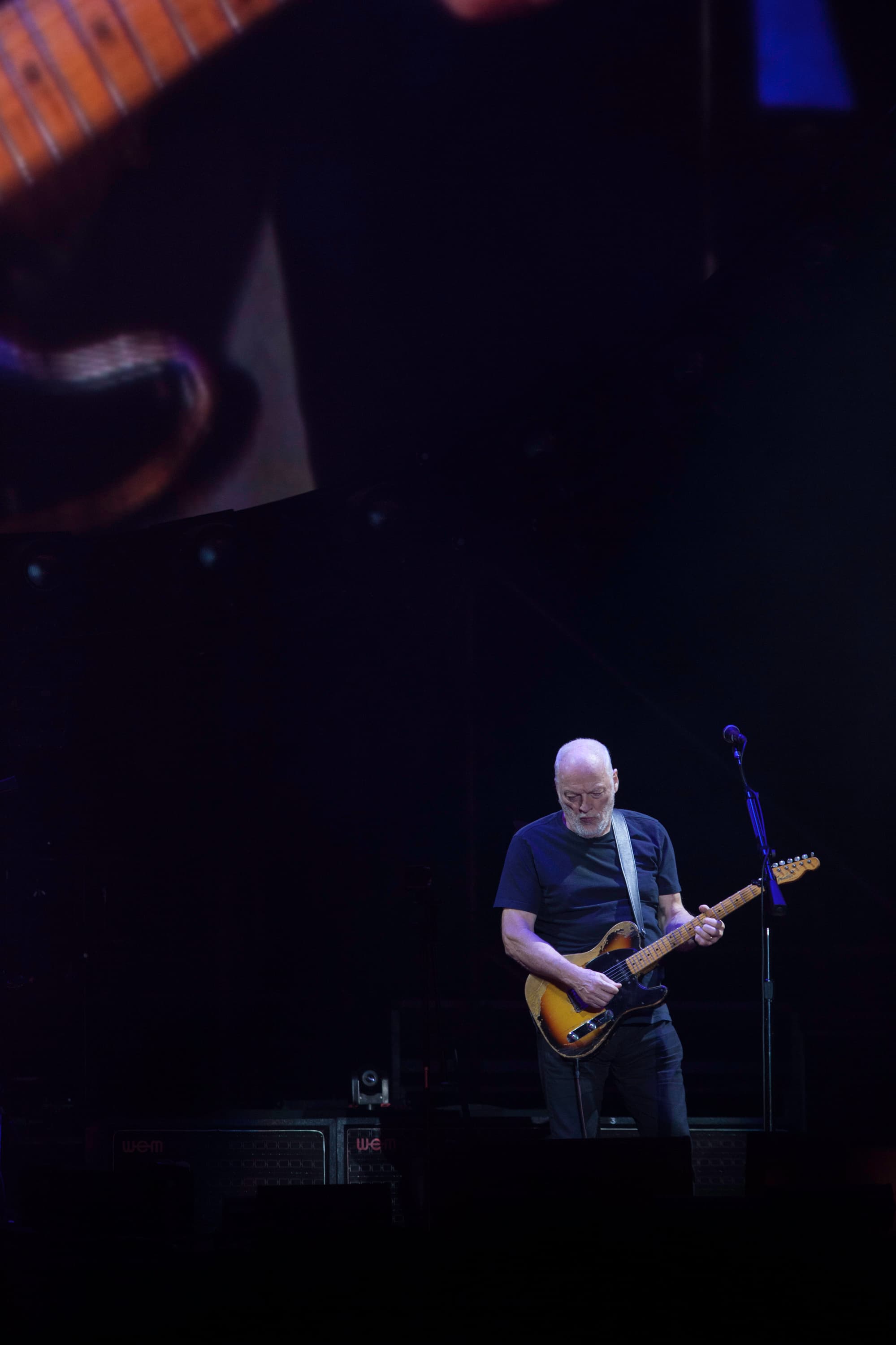 David Gilmour — portrait photograph